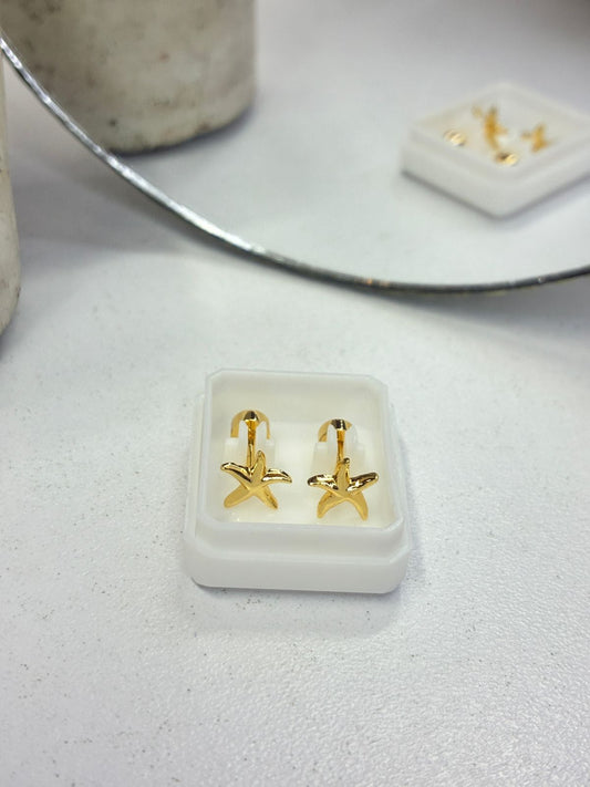 Seguridad estrella dorada – Arete de acero inoxidable