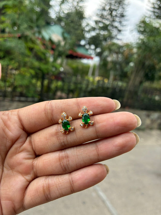 Arete tortuga  acero